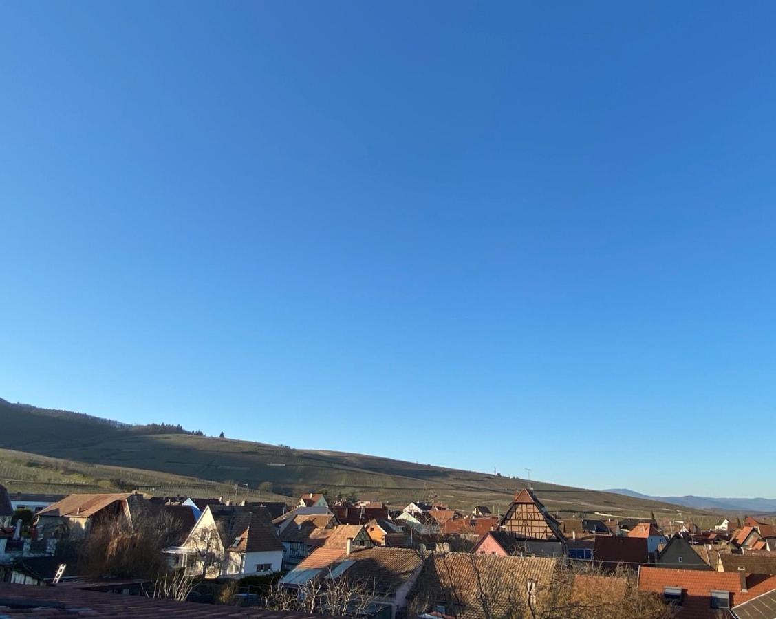 Duplex Le 12 - Appartement Avec Terrasse Dans Le Vignoble - 5 Mn Du Centre De Colmar Wettolsheim Εξωτερικό φωτογραφία
